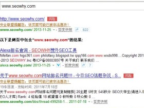 国内知名seo论坛seowhy遭遇黑客攻击挂马
